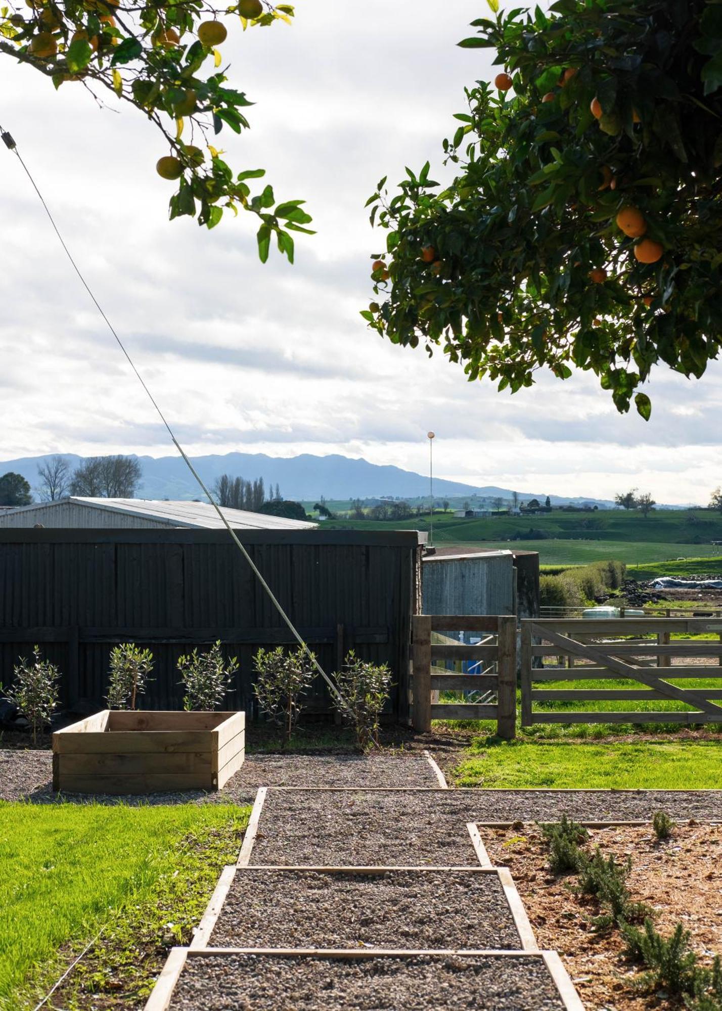 Willow View Cottage - Beautiful Farm Views Close To Waitomo Otorohanga Kültér fotó